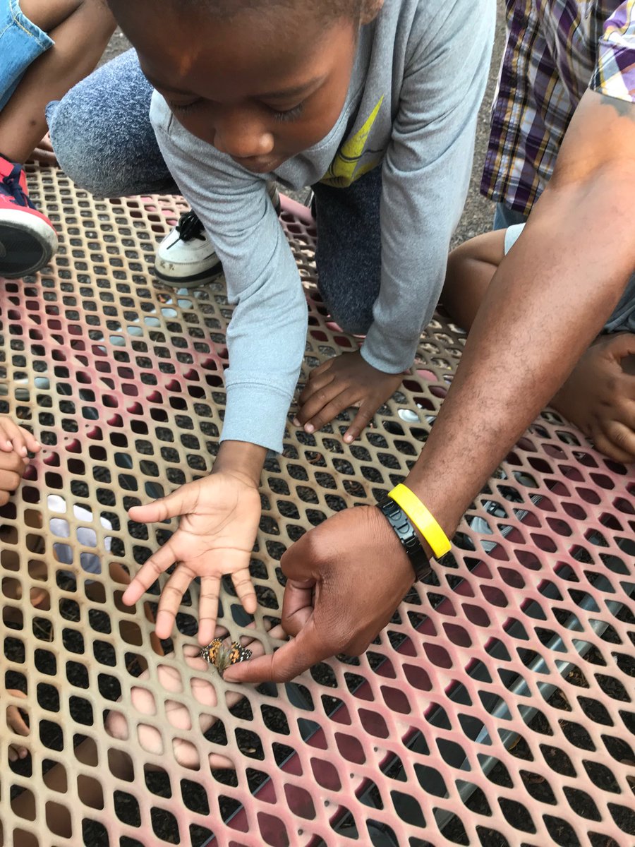 Releasing our butterflies! ⁦<a href="/lonniebnelson/">LonnieBNelsonElem</a>⁩