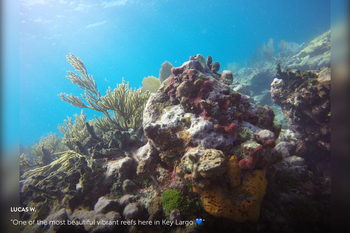 fliptocom's tweet image. From small independents to large brands, Flip.to helps hotels win guests at every step of the traveler journey. These travelers-turned-storytellers introduced these properties to a global audience. See their impact here: 
.
.
.
flip.to/blog/storytell…