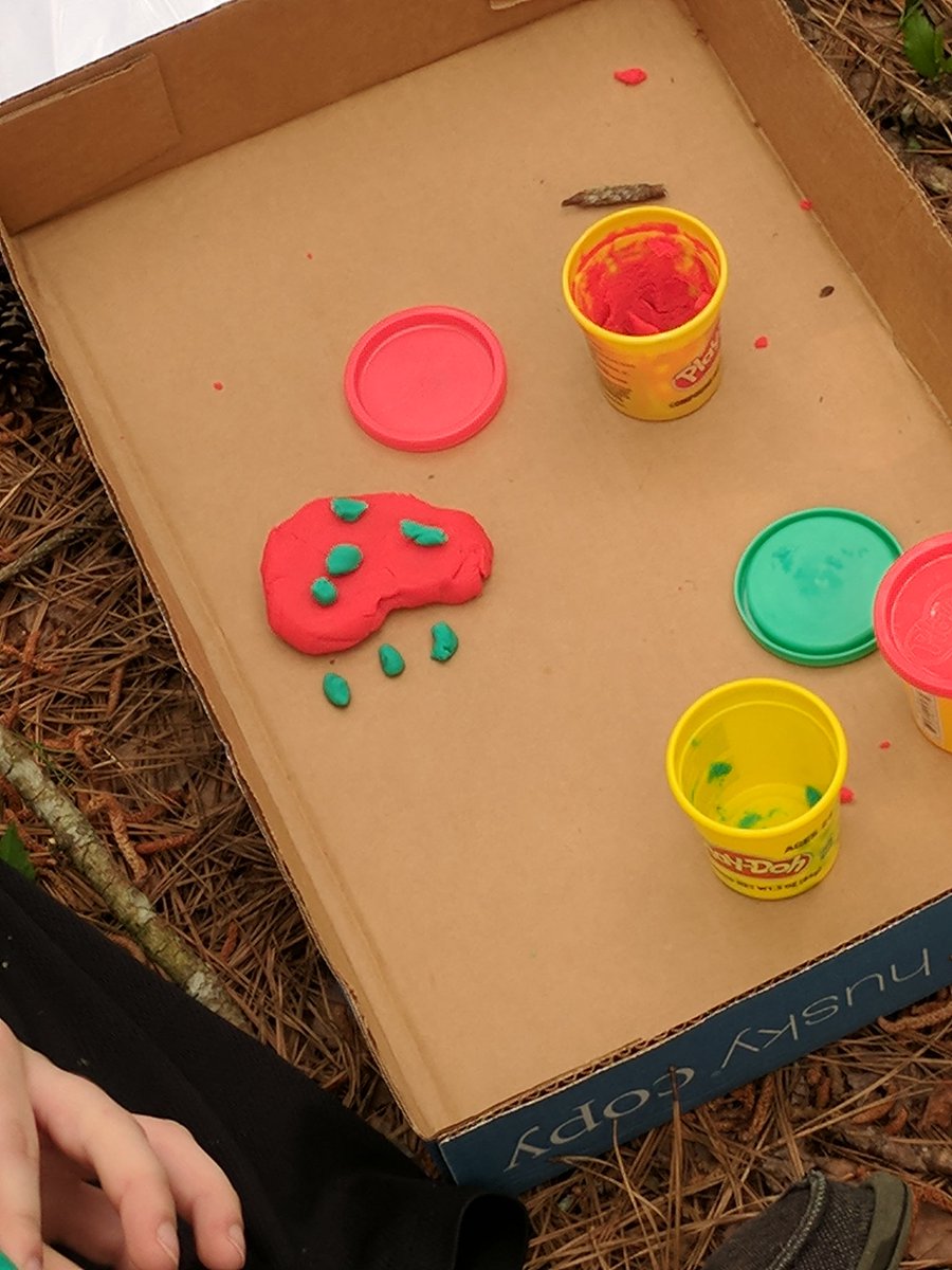 kinghistorycchs's tweet image. Ho Chi Minh Trail in progress @ChathamCentral 🐍 #historyisfun