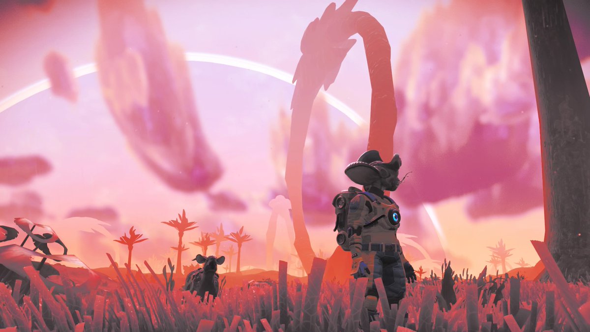 Catalactic_CAT's tweet photo. #nomansskyNEXT #ViatgerCatalà #REDplanets https://t.co/KBHS5zlDvb