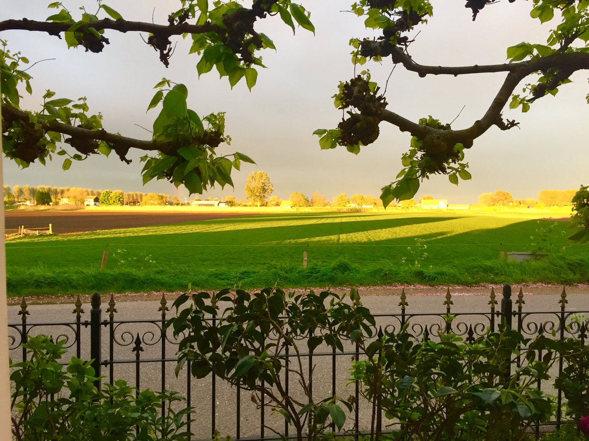 ClaraLinders's tweet photo. Ongelooflijk avondlicht weer, aiai we zetten ons huis met uitzicht (voor-, achterkant is nog leger) te koop https://t.co/37xoNjibQB
