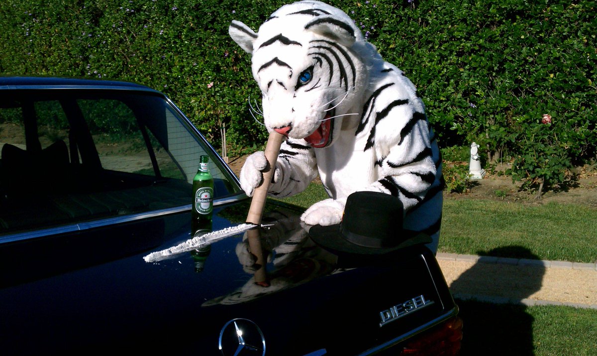 BDW presenteert mascotte 'Modest van Landinvest'  #CorneelvanOosterweel  #Antwerpen   #bdw  #FakeNews