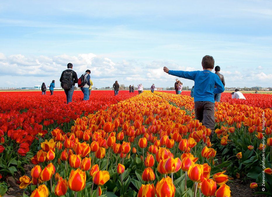 Caroline van der Plas tweet media