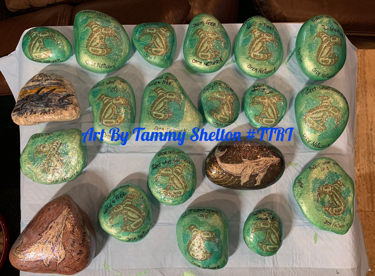 ForOrcas's tweet image. Two coats of varnish make all the difference! @orcanetwork @Empty_the_Tanks  #TTRT #PAINTEDROCKSFORORCAS