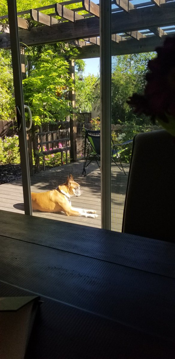 If we all lived a little more like Rogue, the world would be much better place😍