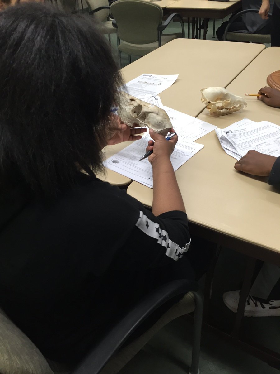RNatureGall's tweet photo. Thank you @hcpss_hms for coming out to Robinson Nature Center for The World Deer to Us Field Trip. We enjoyed teaching you about the impact that deer have on the environment. https://t.co/kZOowMVOiX