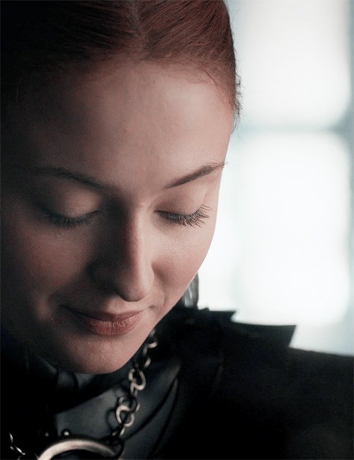 if sansa stark's face isn't art then what is