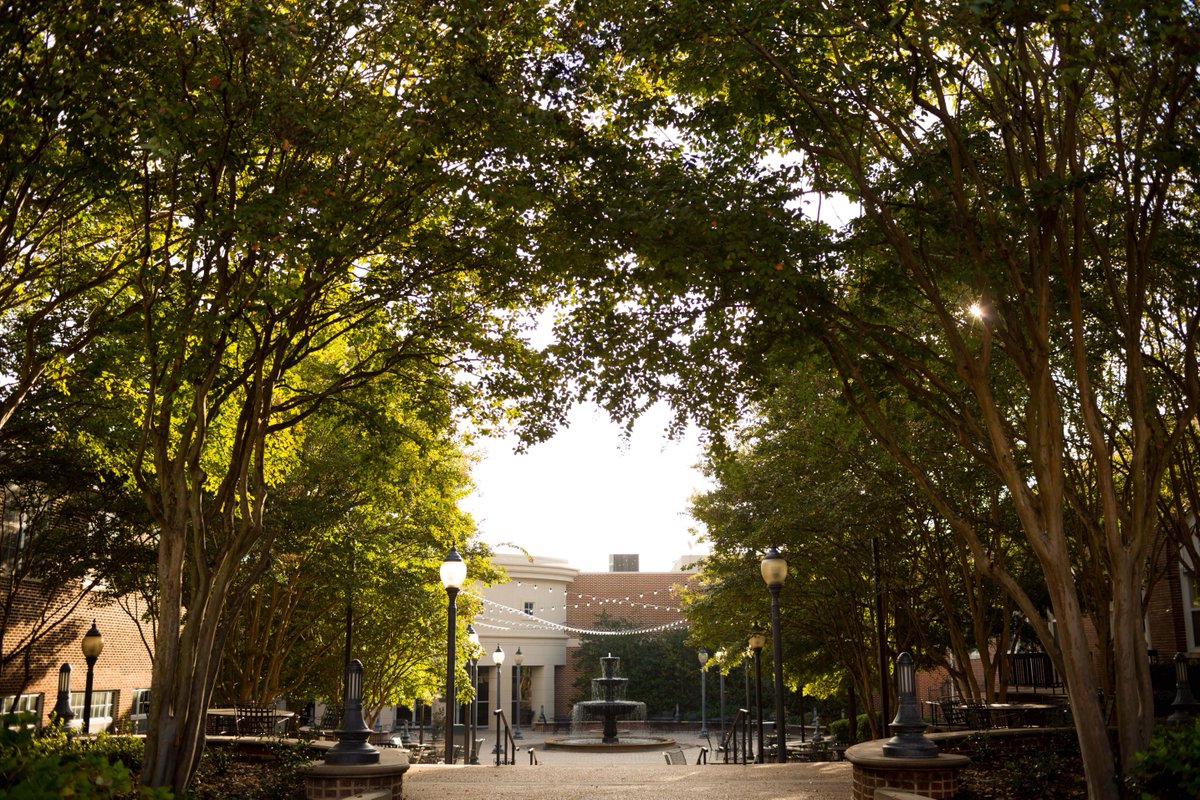 mc_admissions's tweet photo. Our application is fully online! Apply by simply visiting, https://t.co/kR8vjBzyQU! https://t.co/Gf9c5DfJyb