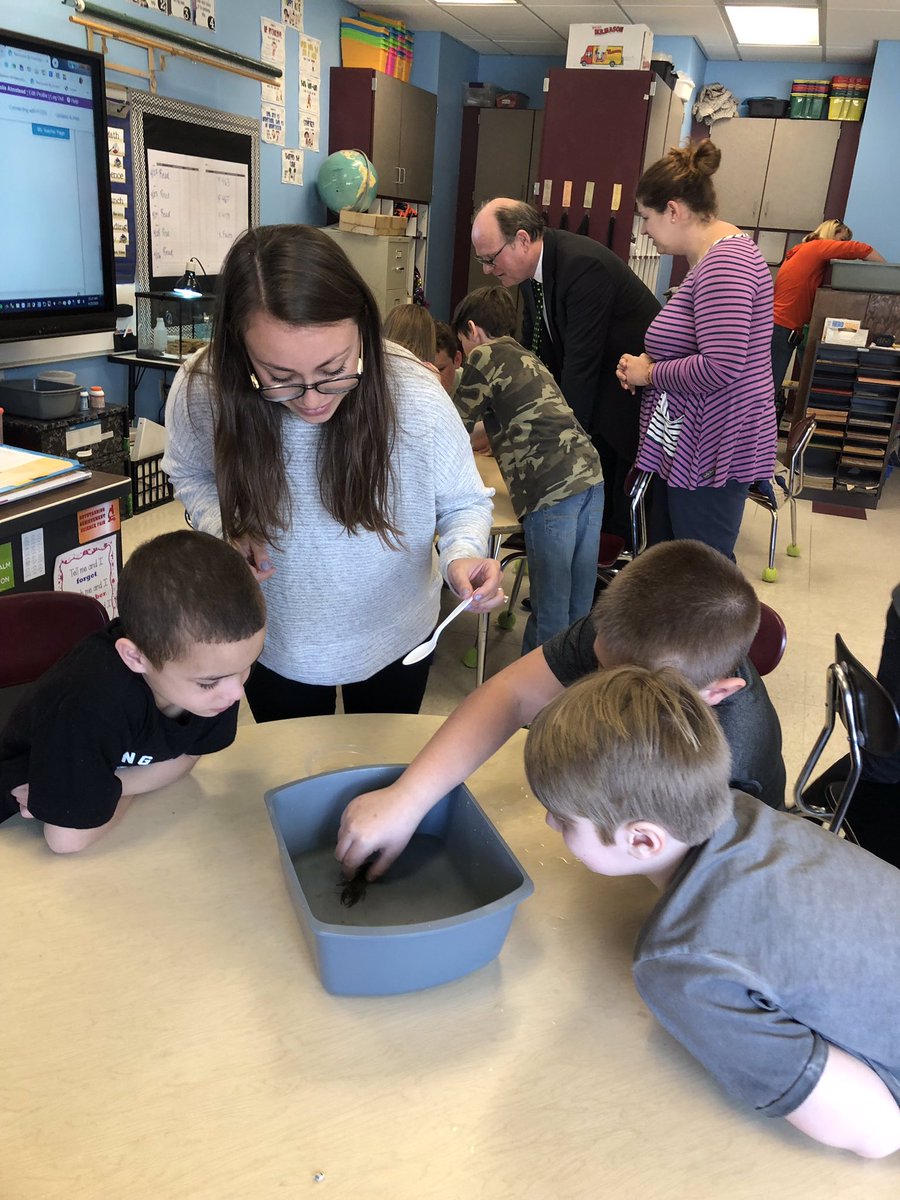 LesGesek's tweet image. The crayfish have arrived! @justinelhill @Mrs_McGinley @rperryesm #grade3atese #FOSSscience