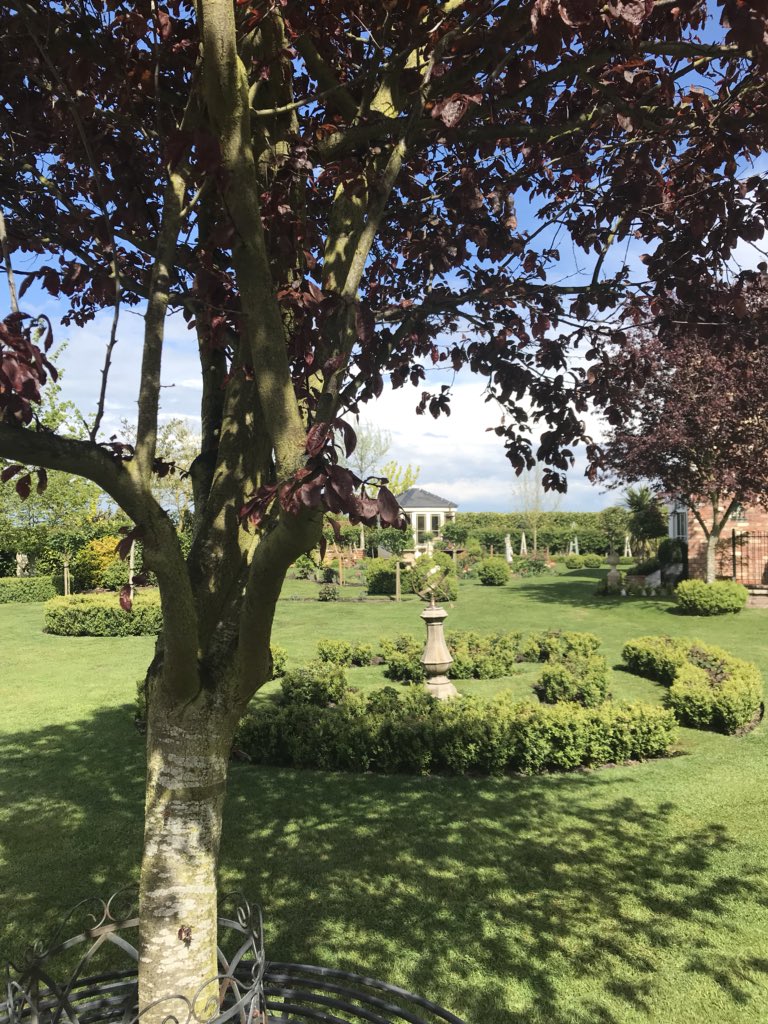 theFamilySK's tweet image. Out came the #sunshine and dried up all the #rain. Verdant #boxballs &amp;amp; #boxhedging punctuates pathways and sprawling flower beds throughout the garden. It will sport its soft frothy lime green new growth until its first cut on Derby Day - the traditional day to start clipping box