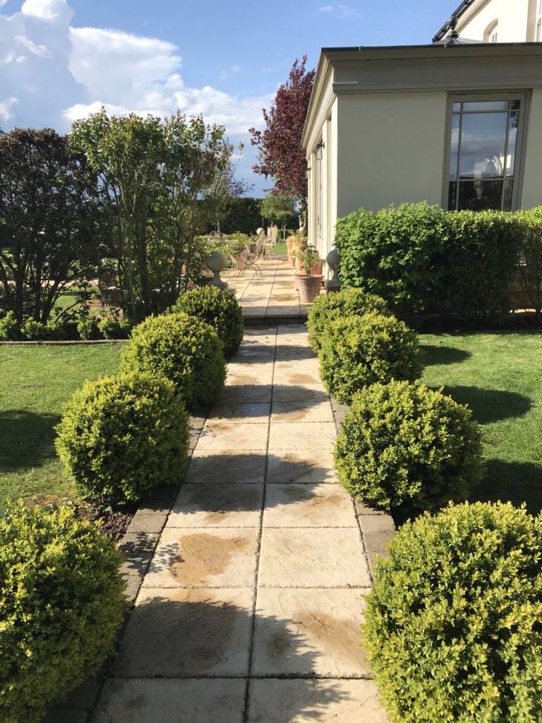 theFamilySK's tweet image. Out came the #sunshine and dried up all the #rain. Verdant #boxballs &amp;amp; #boxhedging punctuates pathways and sprawling flower beds throughout the garden. It will sport its soft frothy lime green new growth until its first cut on Derby Day - the traditional day to start clipping box