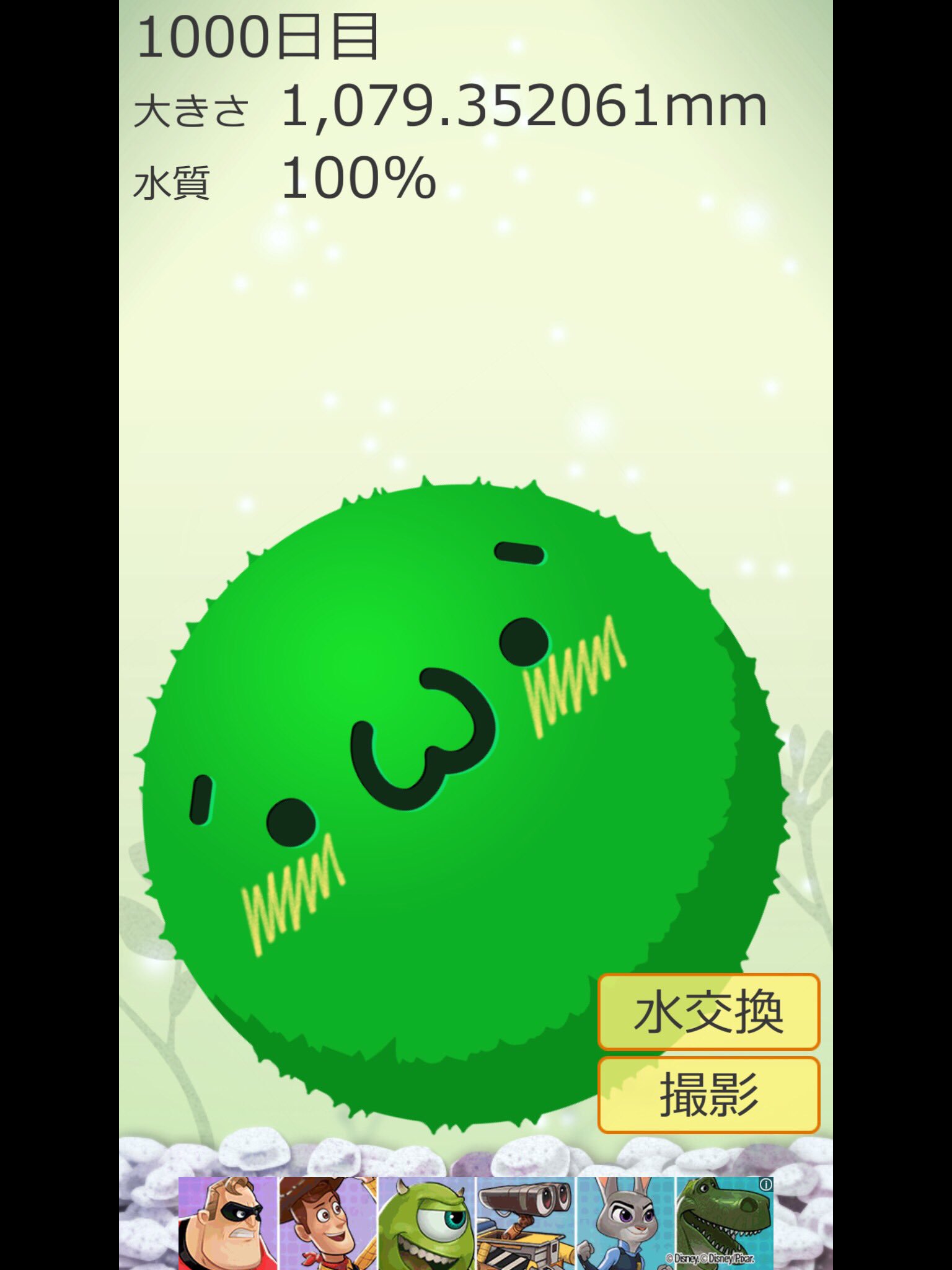 まりも育成 Twitter Search Twitter