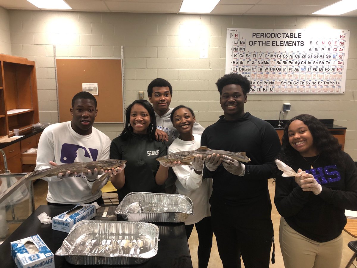 ⁦@haywoodhigh⁩ Dual Biology students doing frog and dogfish shark dissections today. Love seeing curious minds work! #learnbydoing #scienceisforeveryone