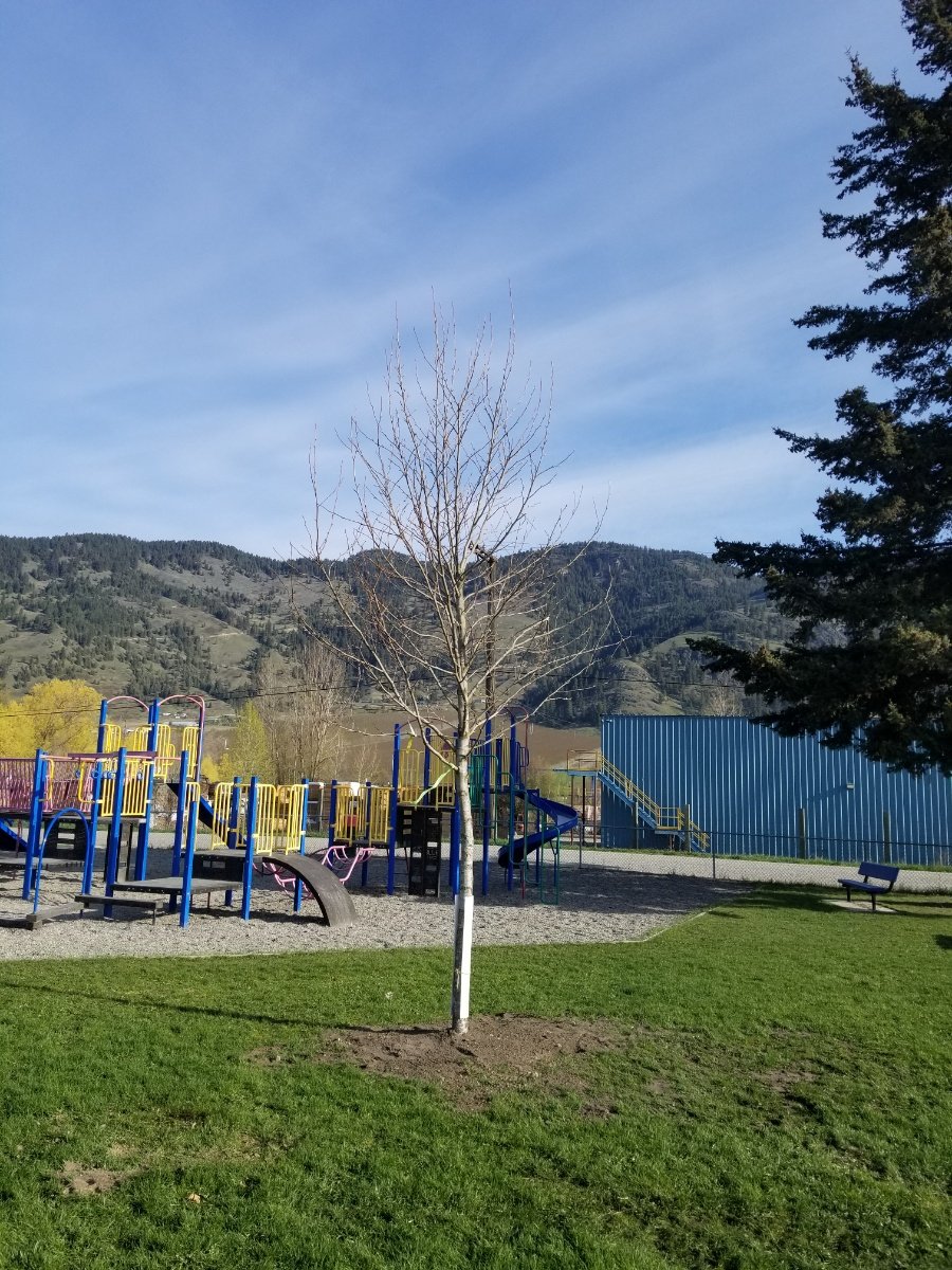 Money doesn't grow on trees but we sure appreciate our grounds crew, PAC and TOLKO making this happen!