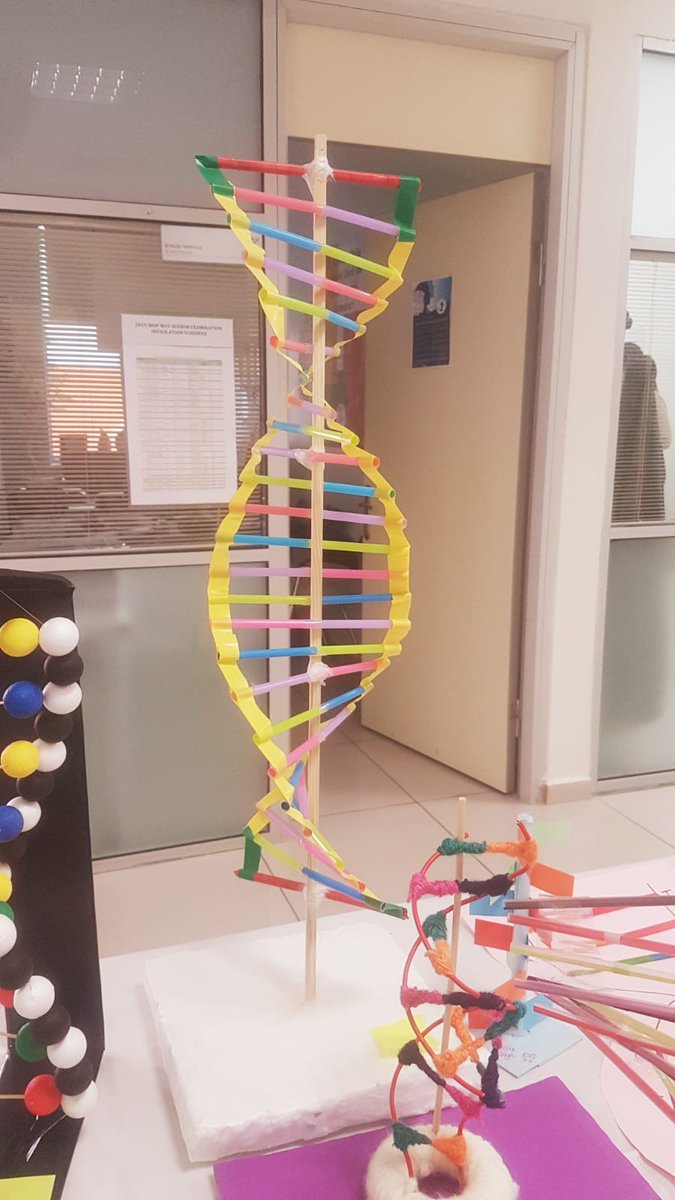25 Nisan 2003'te İnsan Genom Projesi'nin  tamamlanması, 1953 yılında DNA çift sarmalının keşfedilmesini okulumuz öğrencilerinin kendi yaratıcılıklarını kullanarak yapmış oldukları "DNA modelleri ve DNA pastası" ile kutladık.
#25NisanDNAgünü <a href="/dogaokullari/">Doğa Koleji</a> <a href="/dogaacademy/">Doğa Academy</a> <a href="/alirizalule/">Ali Rıza Lüle</a>