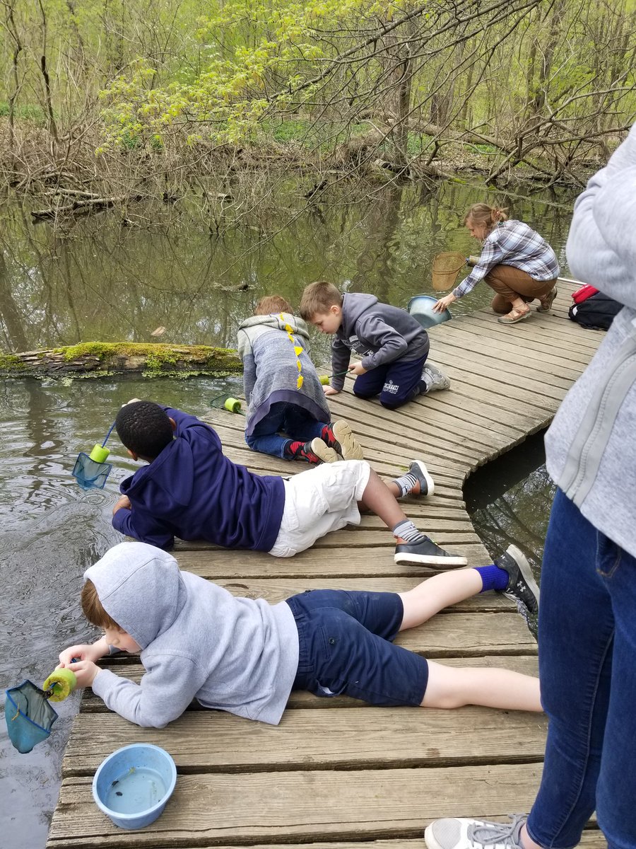 Tresnola's tweet image. Second grade reflections at the Cincinnati Nature Center! @CountryDay @CCDdreamteam #pondexploration #engineeredforfun
