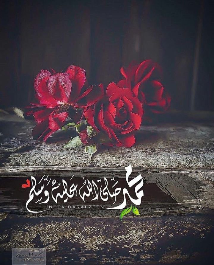 الشوقُ حرَّكني بغيرِ ترددِ 
والشعرُ أبحرَ في محبة احمدِ 
فإذَا مدحتُ محمدًا بقصيدتي
فلقد مدحتُ قصيدتي بمحمدِِ
شرفُ اللسان بذكر أحمدَ سيدي
فبذكره نكفى الهموم  ونهتدي
وحبيبنا  أوصى ، فهيا رددو
يارب صلِّ على الحبيب محمدِ
اللهم صل وسلم وبارك على سيدنا محمد وعلى آله وصحبه وسلم