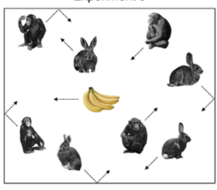 TheTrafton's tweet photo. New paper out in @SageQJEP !  Are you more likely to notice a banana when you're tracking a bunch of monkeys? We measured inattentional blindness rates find out. Inspired, as usual, by @profsimons @cfchabris and #Neisser https://t.co/vwTvU6frFY