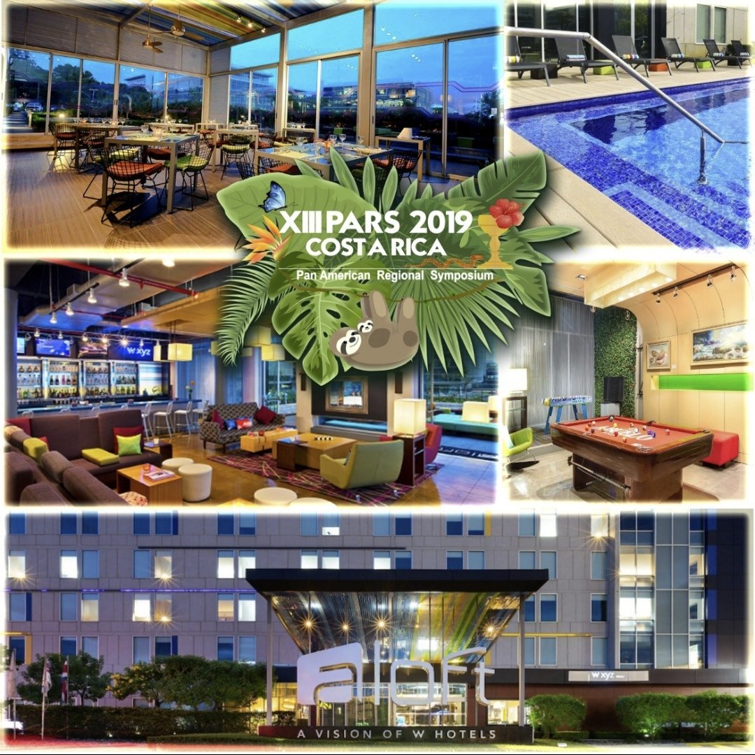 PARSCR2019's tweet photo. Hotel Aloft San José, Costa Rica. 

Sede del 13vo Simposio Regional Panamericano de la Federación Internacional de Estudiantes de Farmacia. 

Del 23 al 30 de Junio, el evento más importante para estudiantes de Farmacia en la región panamericana estará aquí en @AloftSanJoseHtl https://t.co/p4mQumRQHF