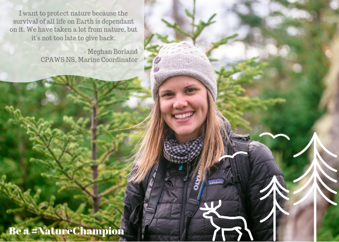 cpaws's tweet photo. We have an amazing team of #NatureChampions across the country and we couldn't be more proud of everything our CPAWS Family - past and present - has accomplished in our 56 year history! CPAWS is #AllInForNature Here's just some of our incredible team. https://t.co/sAxRFiiyPL
