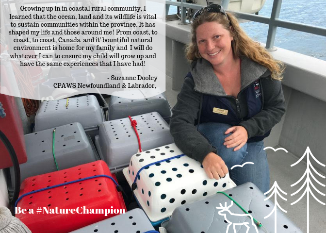 cpaws's tweet photo. We have an amazing team of #NatureChampions across the country and we couldn't be more proud of everything our CPAWS Family - past and present - has accomplished in our 56 year history! CPAWS is #AllInForNature Here's just some of our incredible team. https://t.co/sAxRFiiyPL
