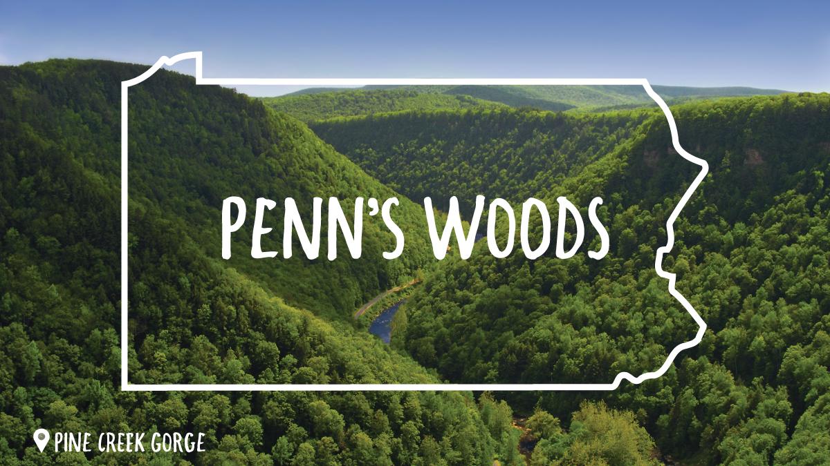 Penn's Woods