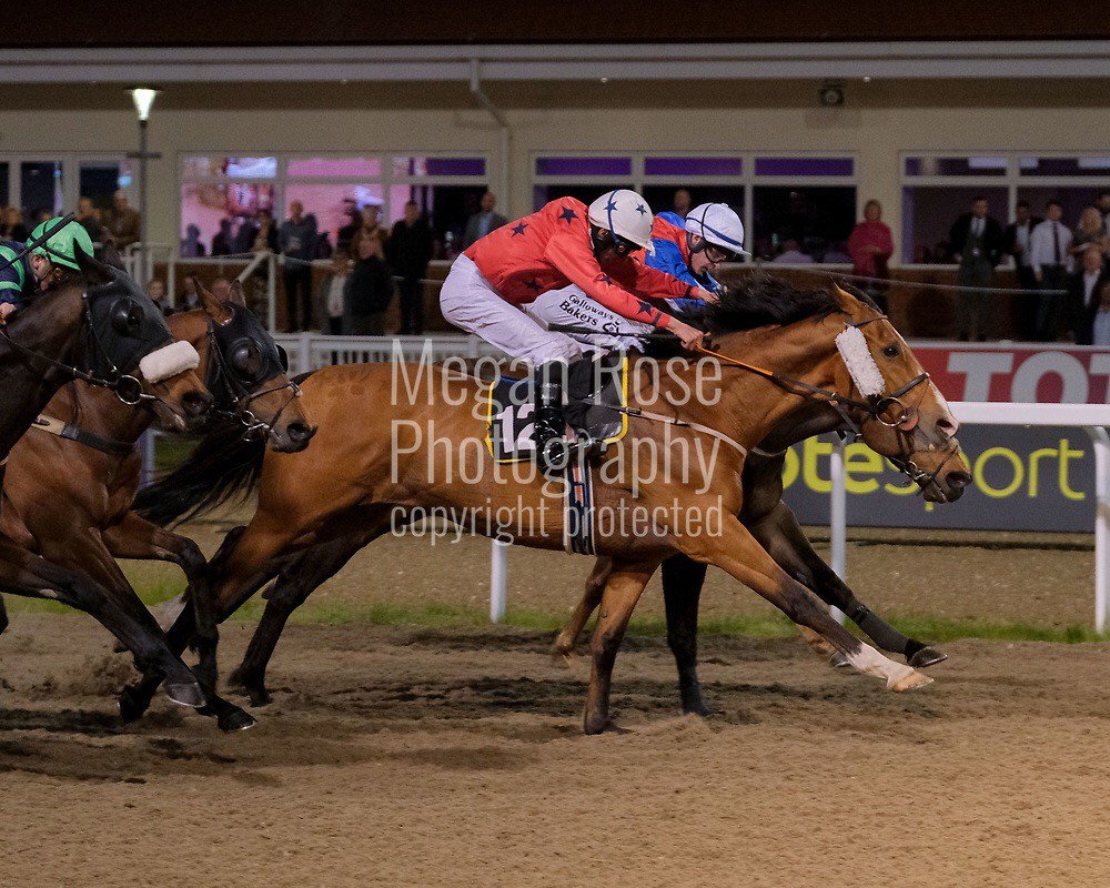 ChelmsfordCRC's tweet photo. 9.00pm  Congratulations to  (T) Richard Guest   (J) Philip Prince
1) Tellovoi   12/1
2) Kyllukey   4/1
3) Rock In Society   9/1
@Meganrosephoto https://t.co/Ssl8uAT2Tl