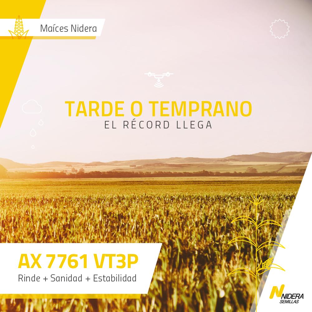 NideraSemillas's tweet photo. Nuestro AX 7761 VT3P es el híbrido con mayor rendimiento del mercado. Ideal para los que saben que nunca es demasiado temprano para empezar a querer rendir más. https://t.co/mEwkA8TuFt