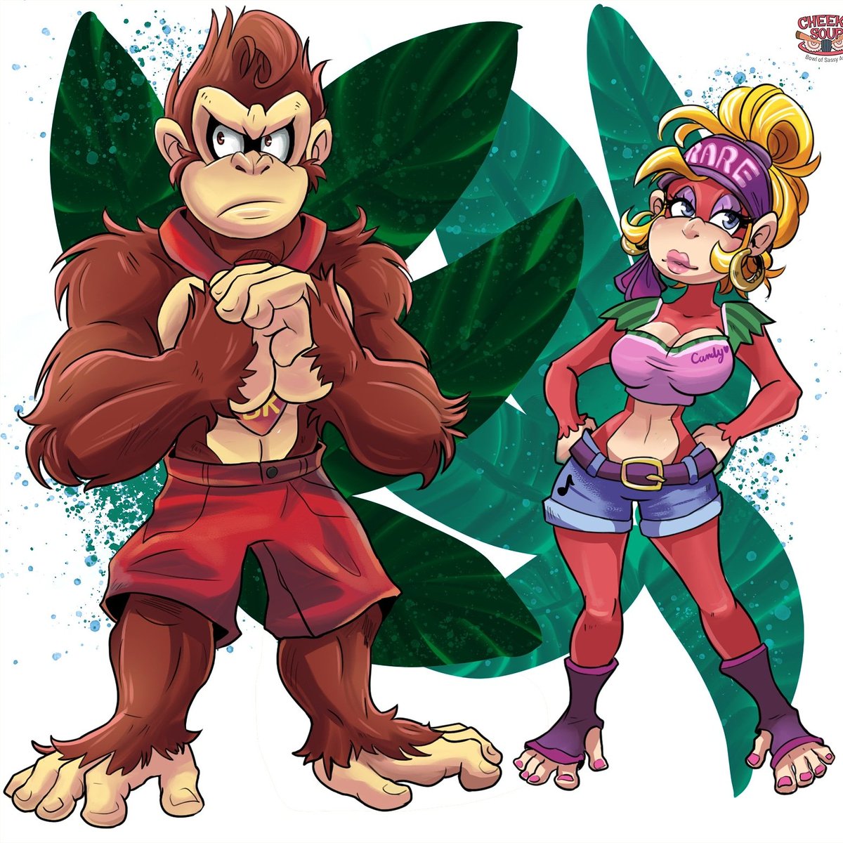 candy kong donkey kong country