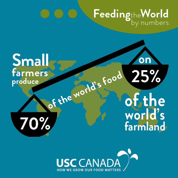 seedchange_'s tweet photo. So how do we create resilient, sustainable and just food systems in a changing world? We can achieve this through #agroecology, fostering seed diversity, and working with small-scale farmers toward #foodsovereignty. https://t.co/PSrvmzJ27g #WeNeedAShift https://t.co/JfSYwzEFyi