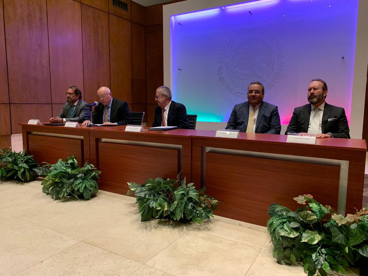 Gerardo Lozano Dubernard tweet media