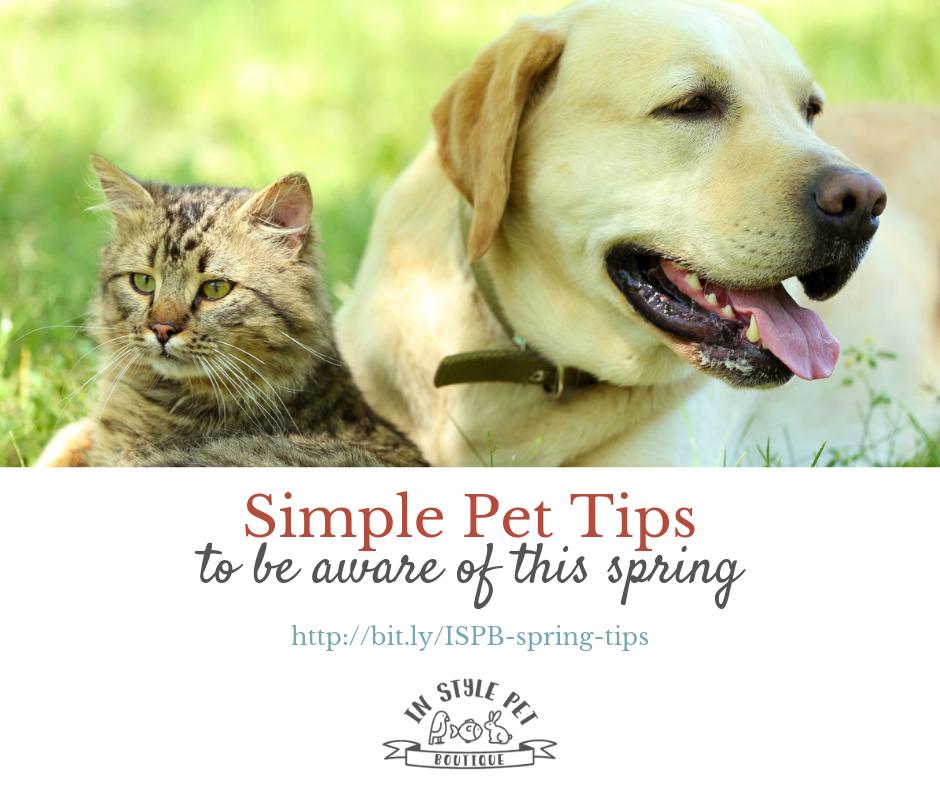 InStylePet's tweet image. You can never be too safe when it comes to your furry friends. Check out our latest blog tips to brush up on #petsafety this spring! buff.ly/2UVW34W