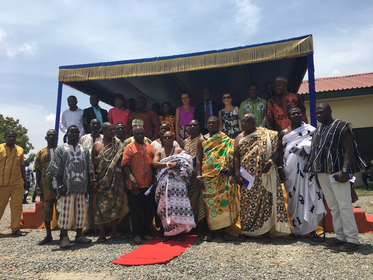 Diana Acconcia tweet media