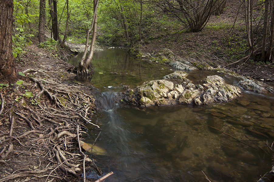 Vemil13's tweet photo. Try to Stay #ThePhotoHour #dailyphoto #MyPhoto #photoart #fineartphotography #waterphoto #waterabstract #waterfallhunters  #waterfalladventures #whitewater #watersplash #longexposure https://t.co/csC2GOS8Pg