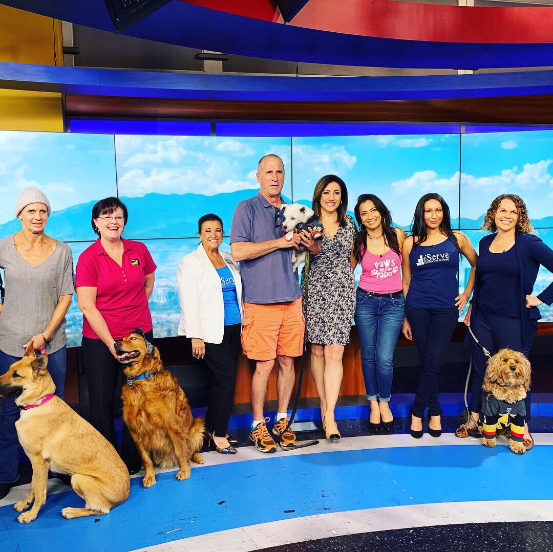 Thank you @news3lv @MichelleNews3LV for featuring our paws festival happening at @tivolivillagelv on April 28th from 10am-4pm complete with food trucks, live music, dog-friendly patio brunch options and on-site adoptions.🙌 For sponsorship oppportunities, 📲702-323-9112