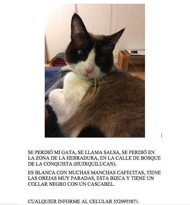 Ayudenme a encontrarla . RT