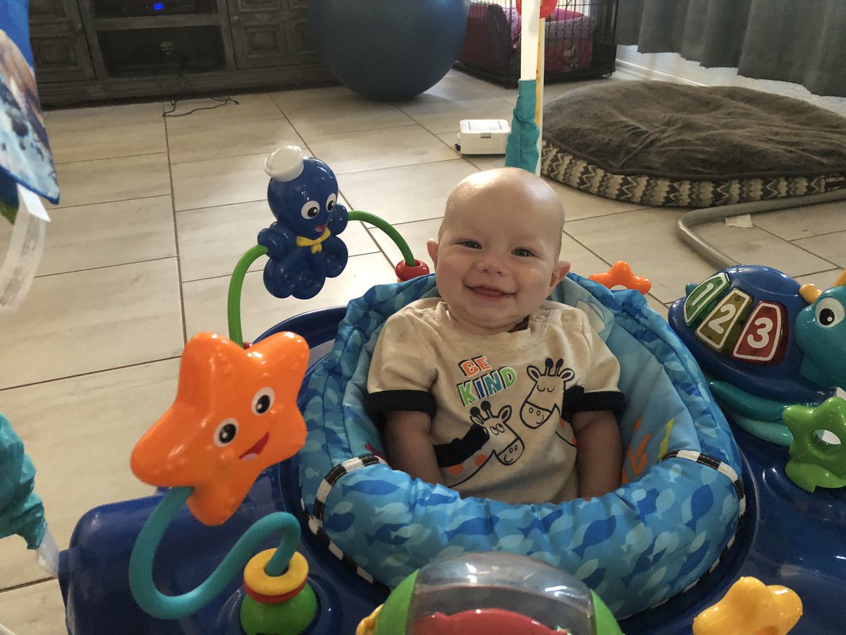 PreggoMermaid's tweet photo. 4 months old! https://t.co/C8H89csgDD