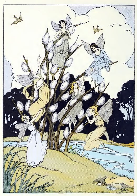 西洋魔術博物館 ナーサリーマジック 妖精さんたちのお仕事 説明神話といっても過言ではないのでしょうが たまには息抜き的なものもあるようです 妖精さんはネコを飼いたくなるとネコヤナギを触って我慢するというお話がございます わかるような