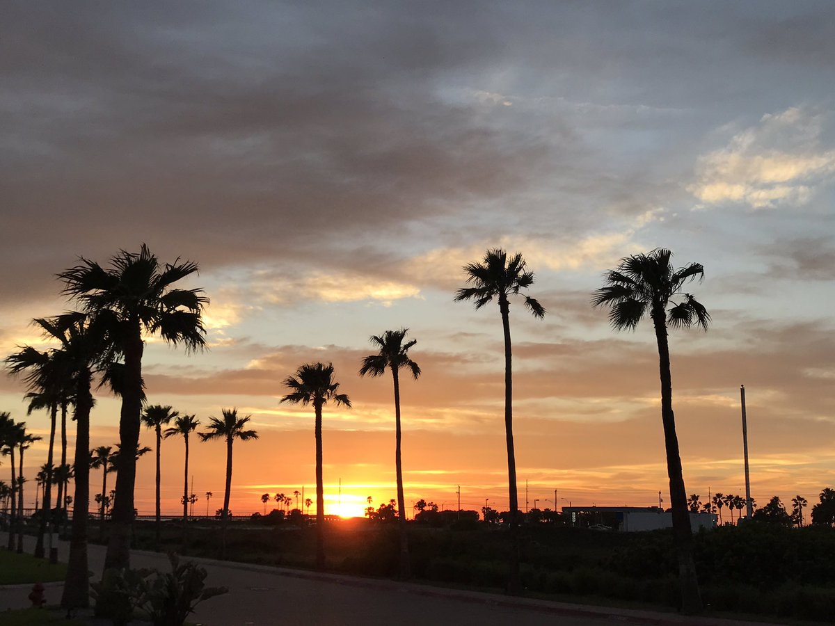 vhsband's tweet photo. We made it 🐍🙌 #springtrip2019 https://t.co/9wHAzz495V