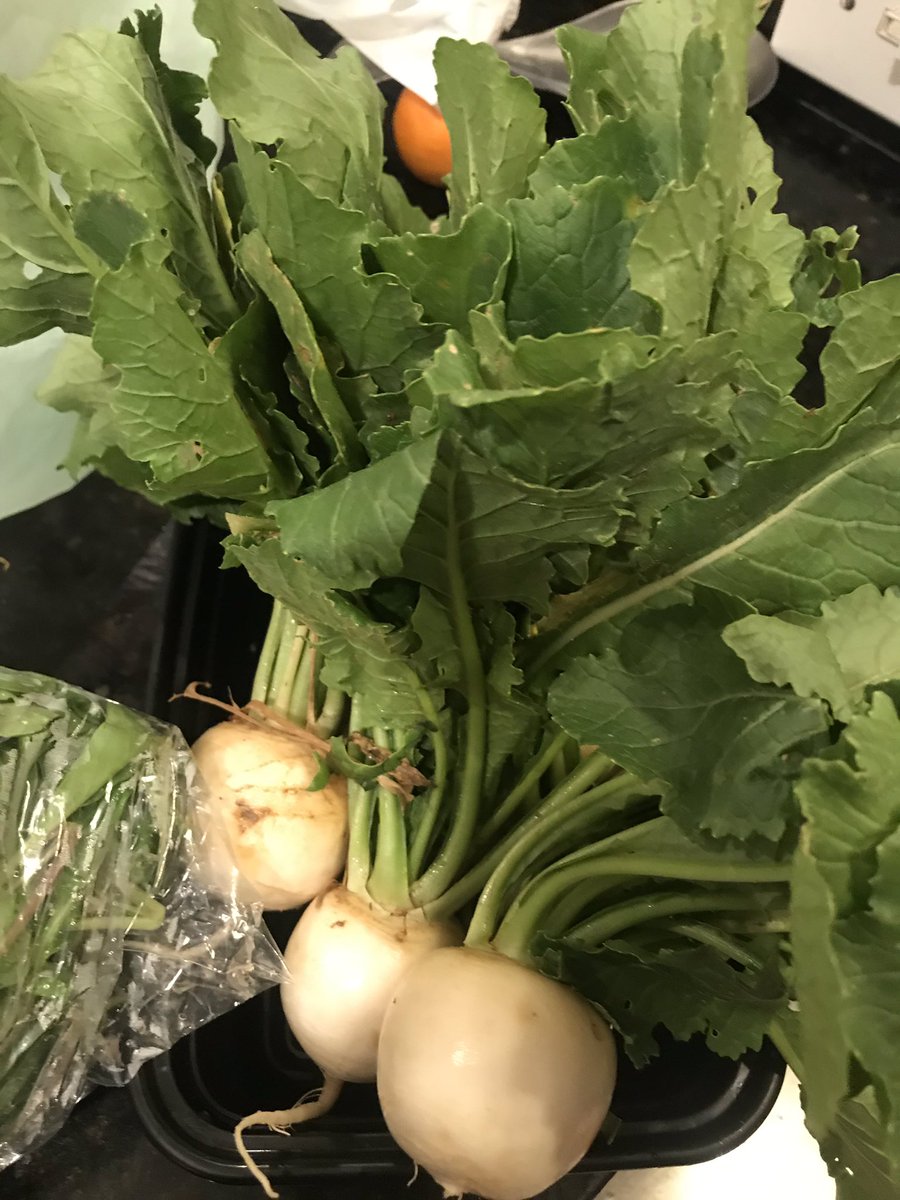 gannweather's tweet photo. Urban garden feels tonight....but lawdy, what am I supposed to make with radishes??? Help!!! Send me ideas...best recipes...go!
#garden #radish #freshveggies #recipesplease https://t.co/Dlu2LomXoj