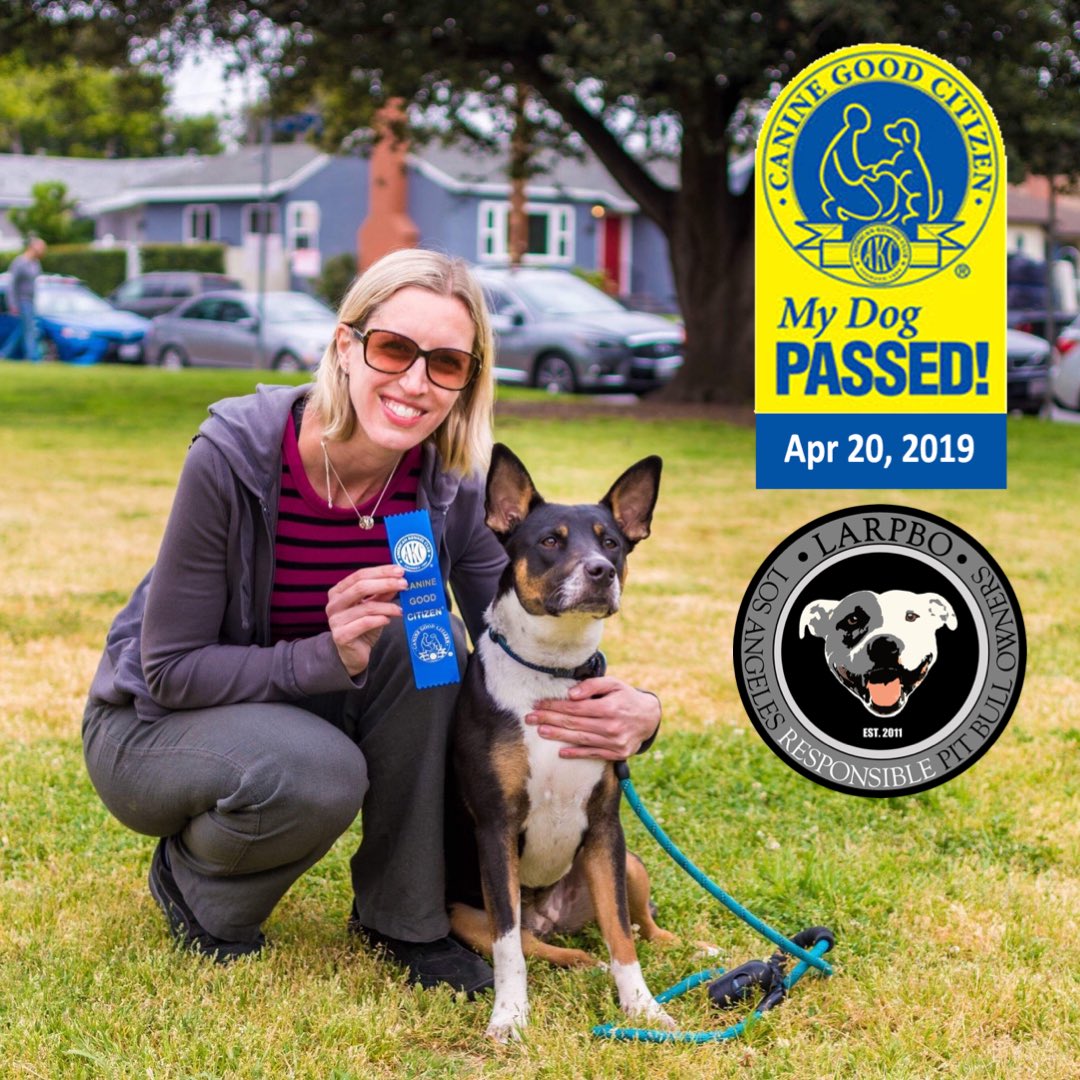 Watching a CGC test take place, Genevieve turns to her dog Holly and says, “Let’s do this!” And they did! Congratulations!
.
.
#LARPBOgraduate #larpbodogtraining #larpbodog #larpbocommunity #speaklarpbo_belarpbo