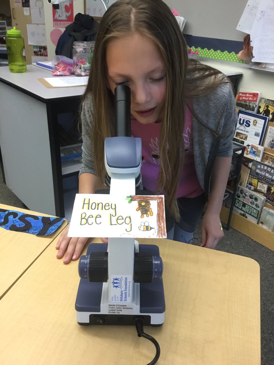 CougTeacher's tweet photo. #steam #TeachImlay Young scientists at Imlay, thanks to @HSF4kids https://t.co/qskjcWmojZ
