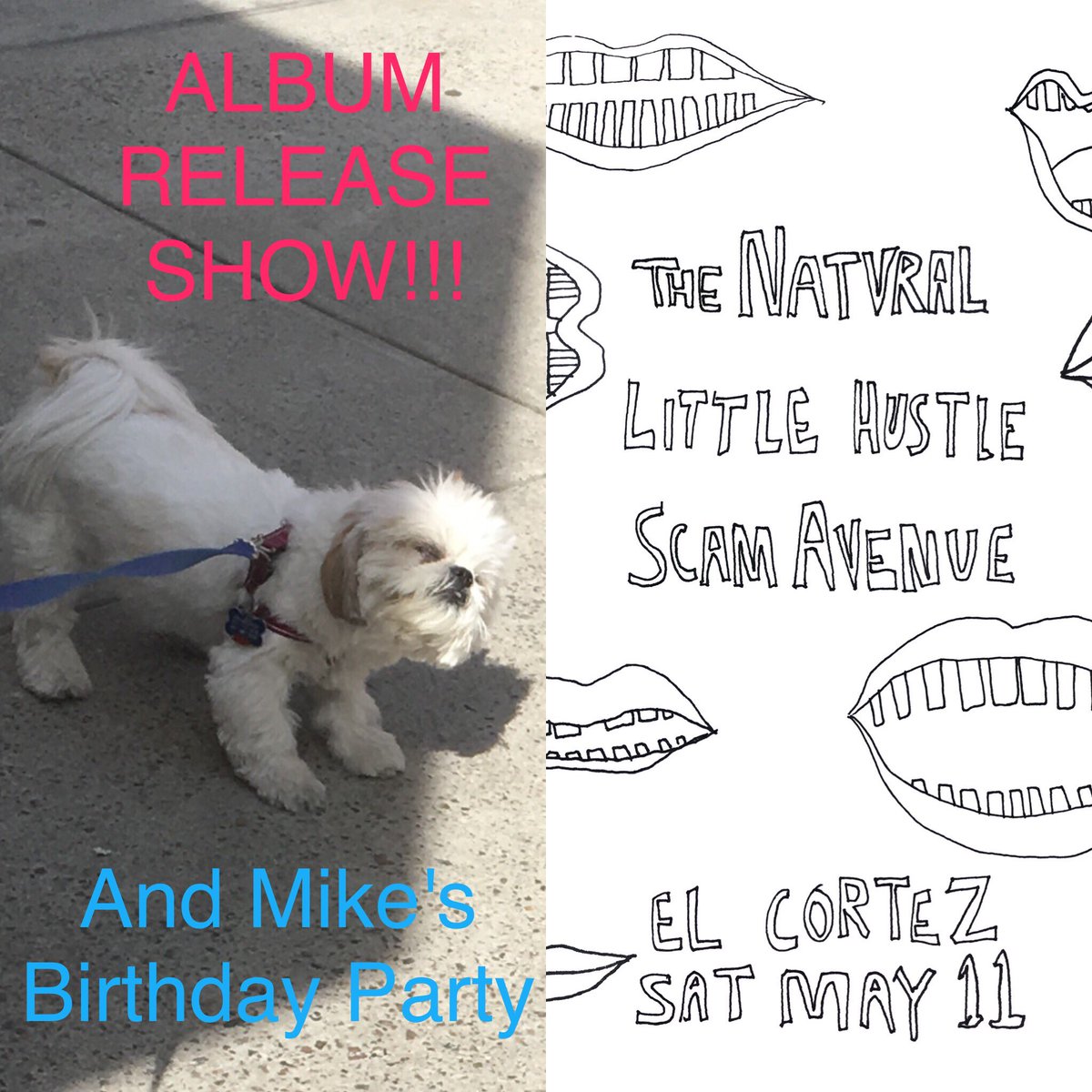 Little Hustle (@littlehustlenyc) on Twitter photo Next show = #albumrelease SATURDAY 5/11 <a href="/ElCortezBK/">El Cortez Bushwick</a> w/<a href="/ScamAvenue/">Scam Avenue</a> + <a href="/KipBerman/">Elitsa Krumova</a> THE NATVRAL ❤️👩🏼🎤🐶🥁 Next show = #albumrelease SATURDAY 5/11 <a href="/ElCortezBK/">El Cortez Bushwick</a> w/<a href="/ScamAvenue/">Scam Avenue</a> + <a href="/KipBerman/">Elitsa Krumova</a> THE NATVRAL ❤️👩🏼🎤🐶🥁