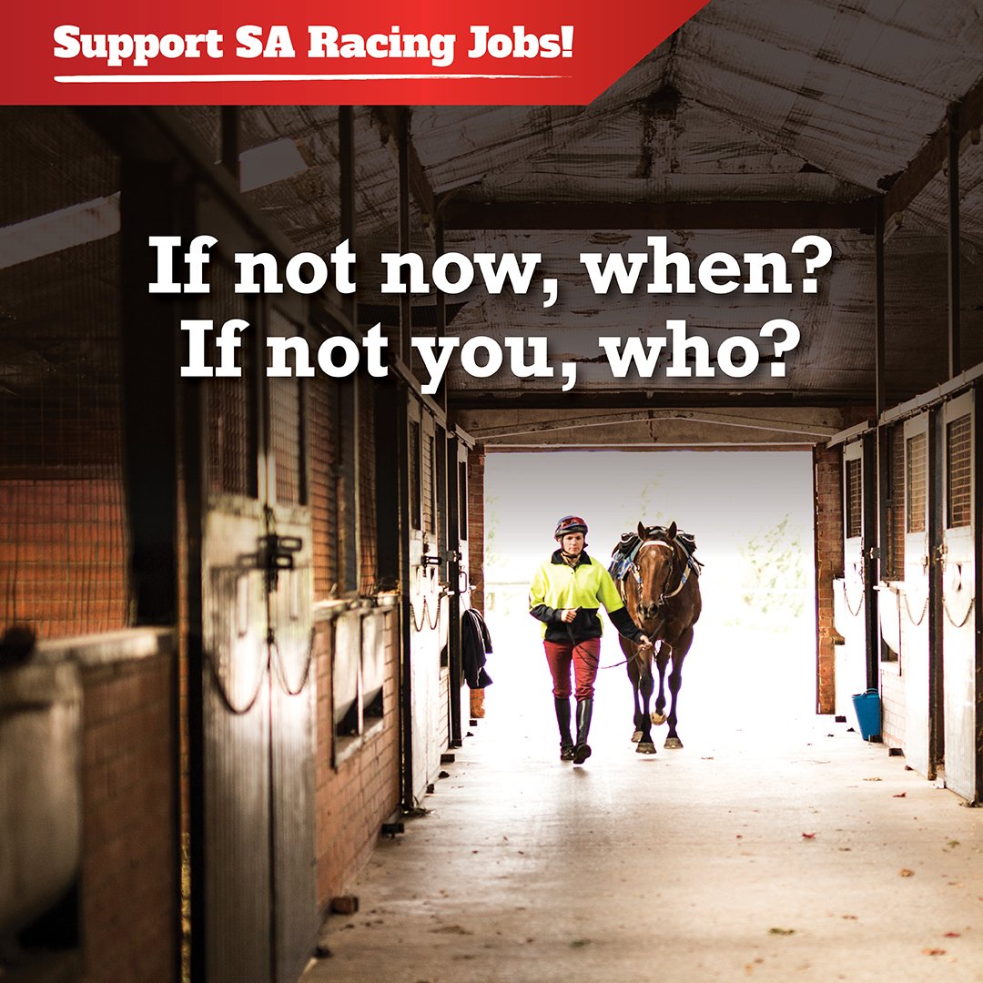 SupportSARacing tweet picture