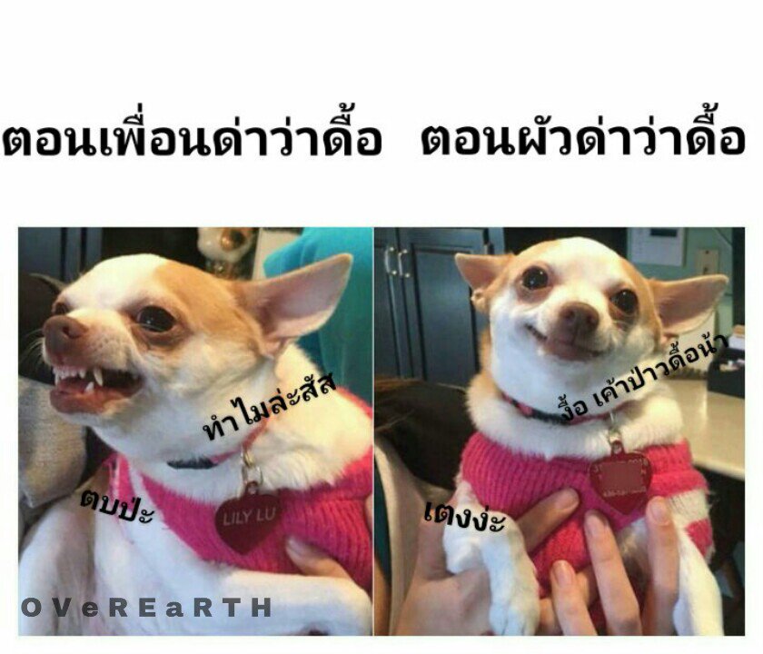 🍷 tweet media