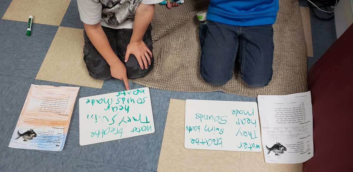 TrevelynYahr's tweet photo. Why listen to me all the time? Ss can #BuildFluency by reading and listening to each other. Ss thrive when helping each other word attack, self-correct, and recognize sight words. Teaching can be the best way to learn. #ReadingStrategies at #MontalvoROAR #VUSDStrong https://t.co/QootjcK2l7