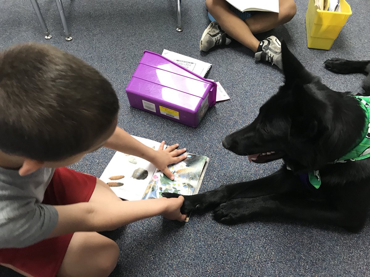 GoldsbyTeam's tweet photo. Bruce day! Waiting for students to come out of music and being read to during MIRP time. #Why305 #firstgraderocks #therapydog https://t.co/02ynXB8qEj