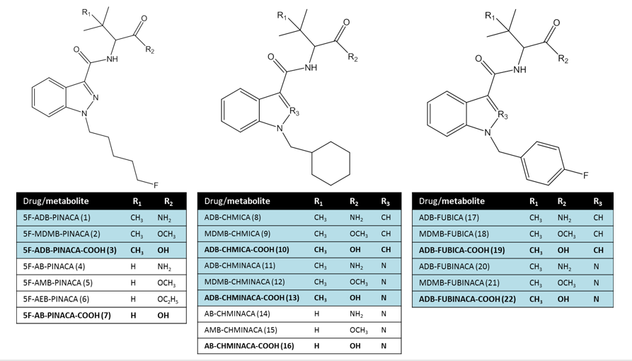 christophestove's tweet photo. Just accepted &amp; online in #DrugTestingandAnalysis:
E. Wouters et al.: "Functional evaluation of carboxy metabolites of synthetic cannabinoid receptor agonists featuring scaffolds based on L‐valine or L‐tert‐leucine"
Collab. with L. Mogler - V. Auwärter.
https://t.co/JcLFMVvsgx https://t.co/SFwBHjjemC