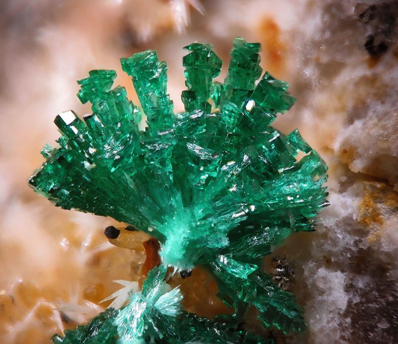 MineralsChannel's tweet photo. Atacamita, pasaros por el canal para ver los vídeos nuevos cada semana. #minerales #gemas #atacamita #características #youtube https://t.co/oZdLfDgq7d