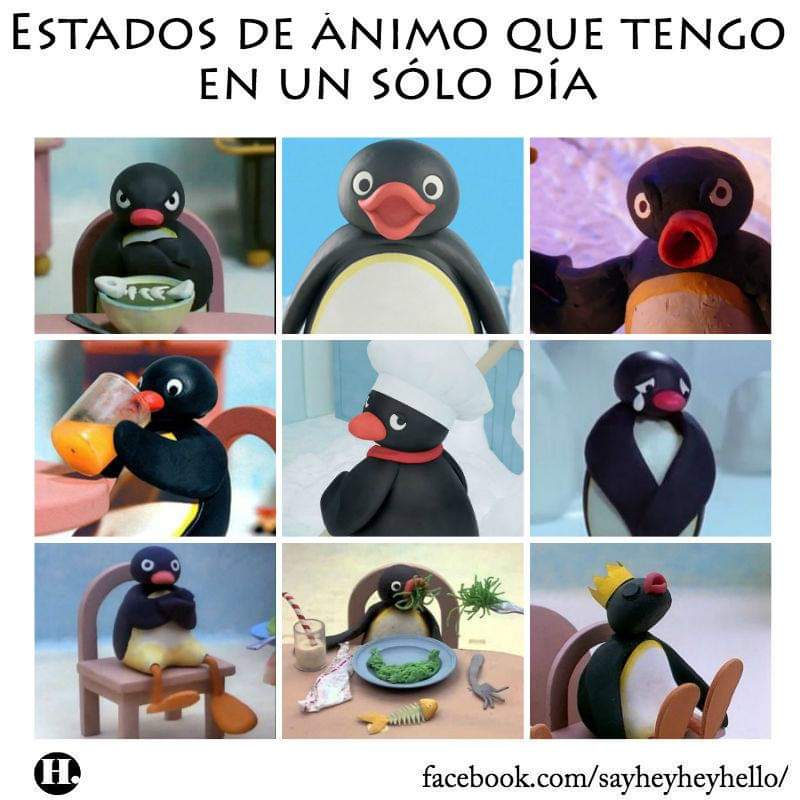 luza_chavez's tweet photo. #LeveLaNieve #Pingu # https://t.co/nfslhUJBCa